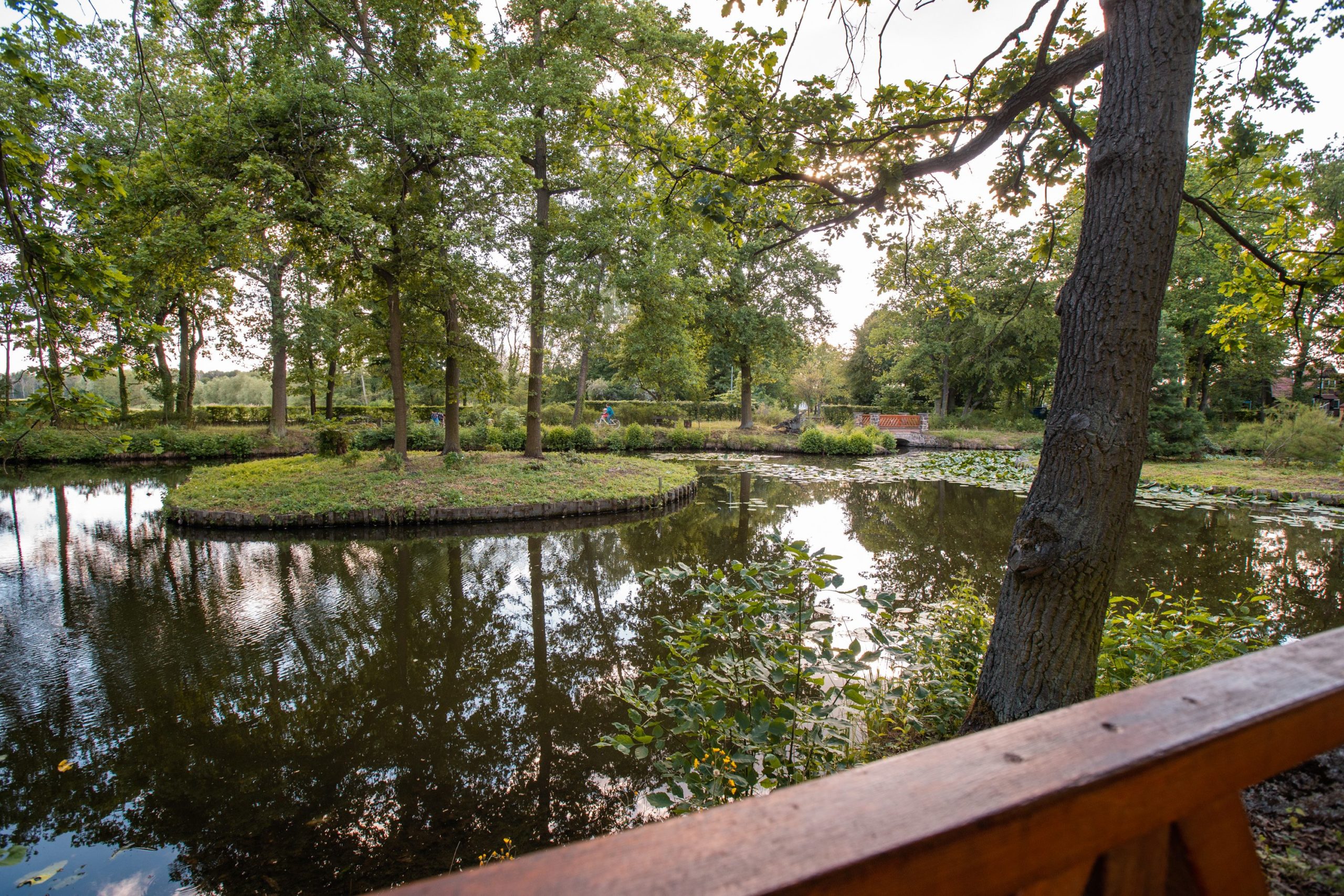 DSC03400 DSC03400