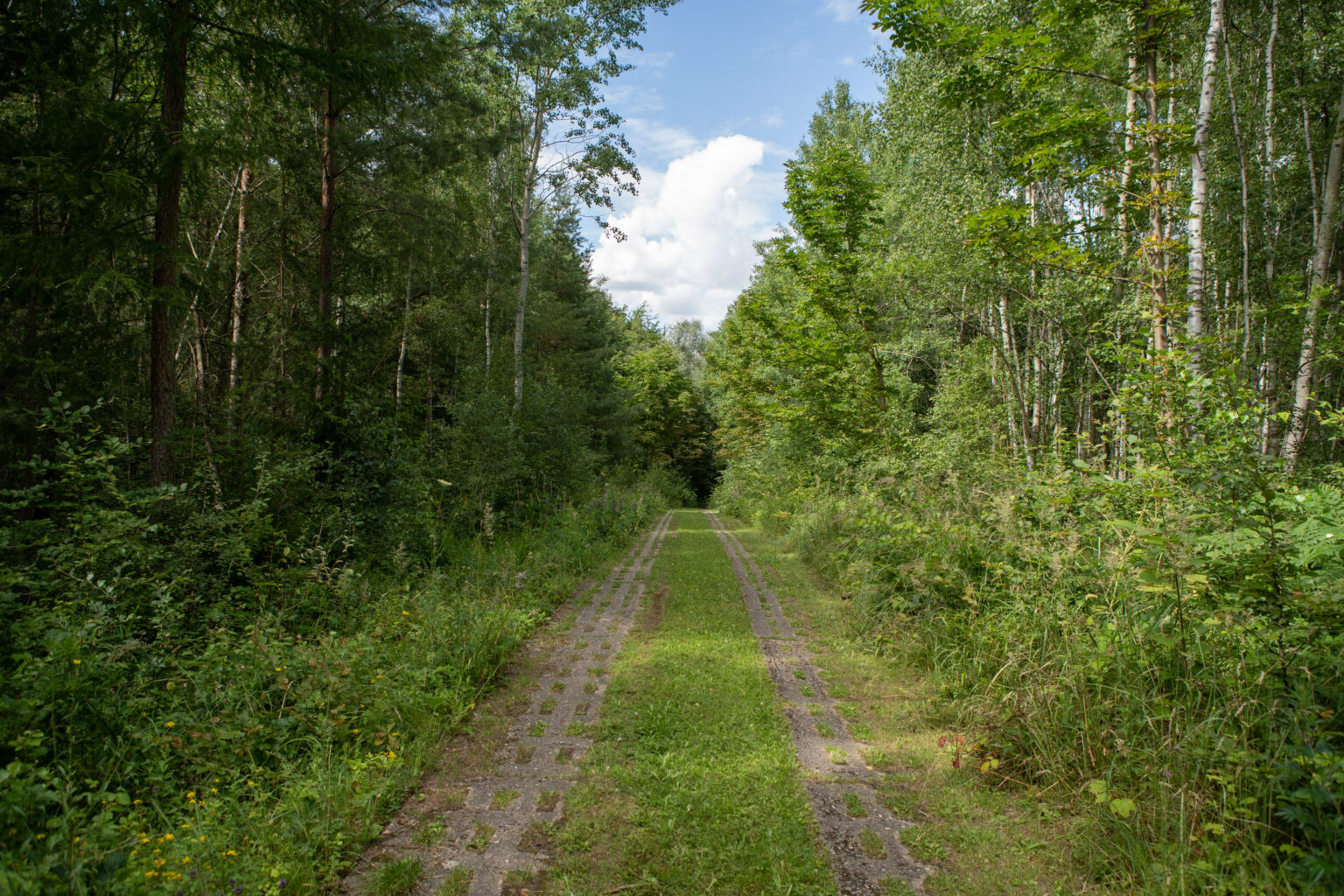 grenzlehrpfad-helmstedt-006